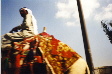 Camel.jpg (7332 bytes)